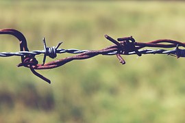 barbed-wire-887275__180